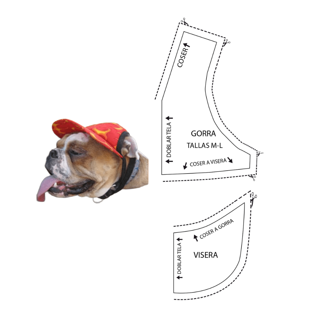 Molde de boné com viseira para cachorro